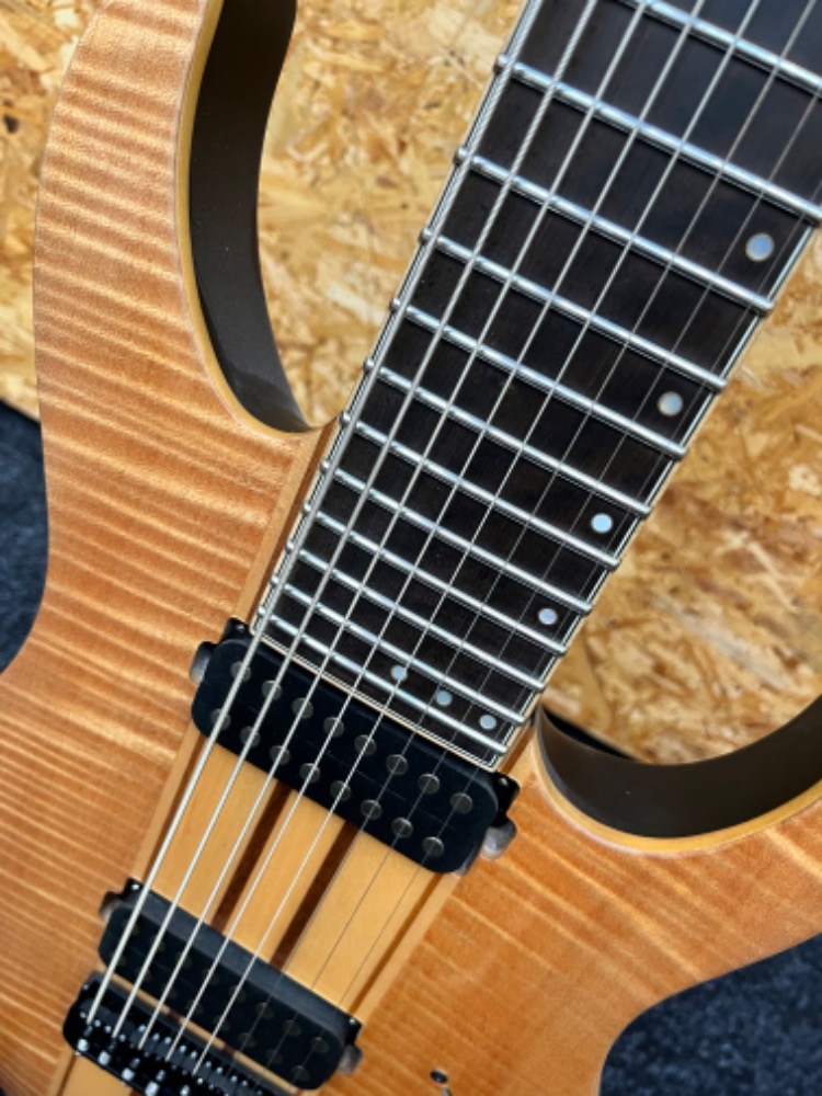 SCHECTER Banshee Elite-8 GNAT